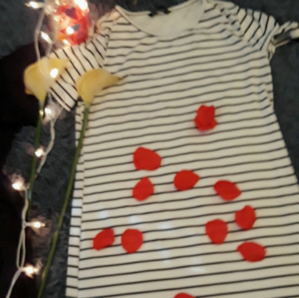 Dress smoke free never worn